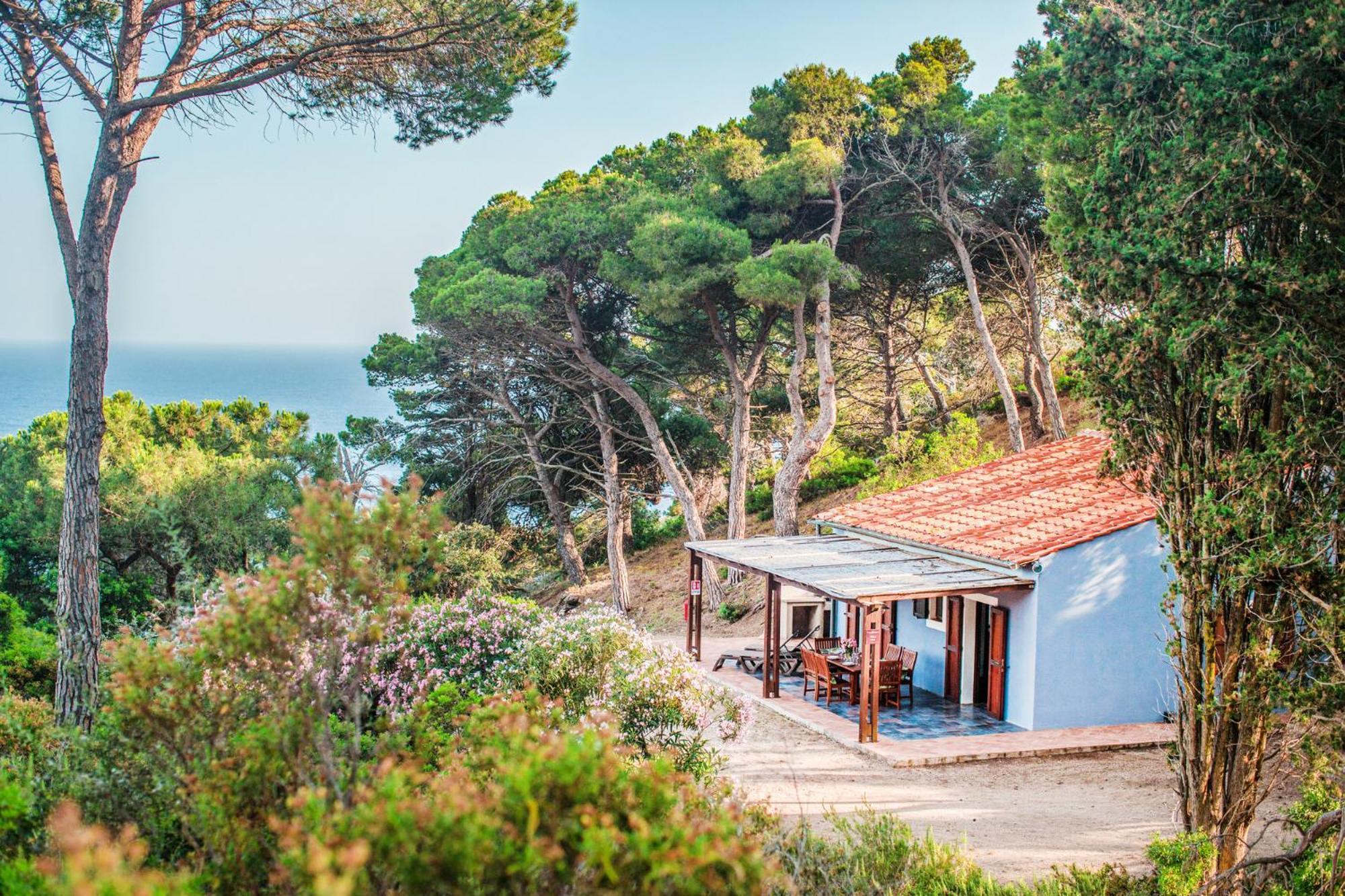 Tenuta Delle Ripalte Capoliveri Kültér fotó