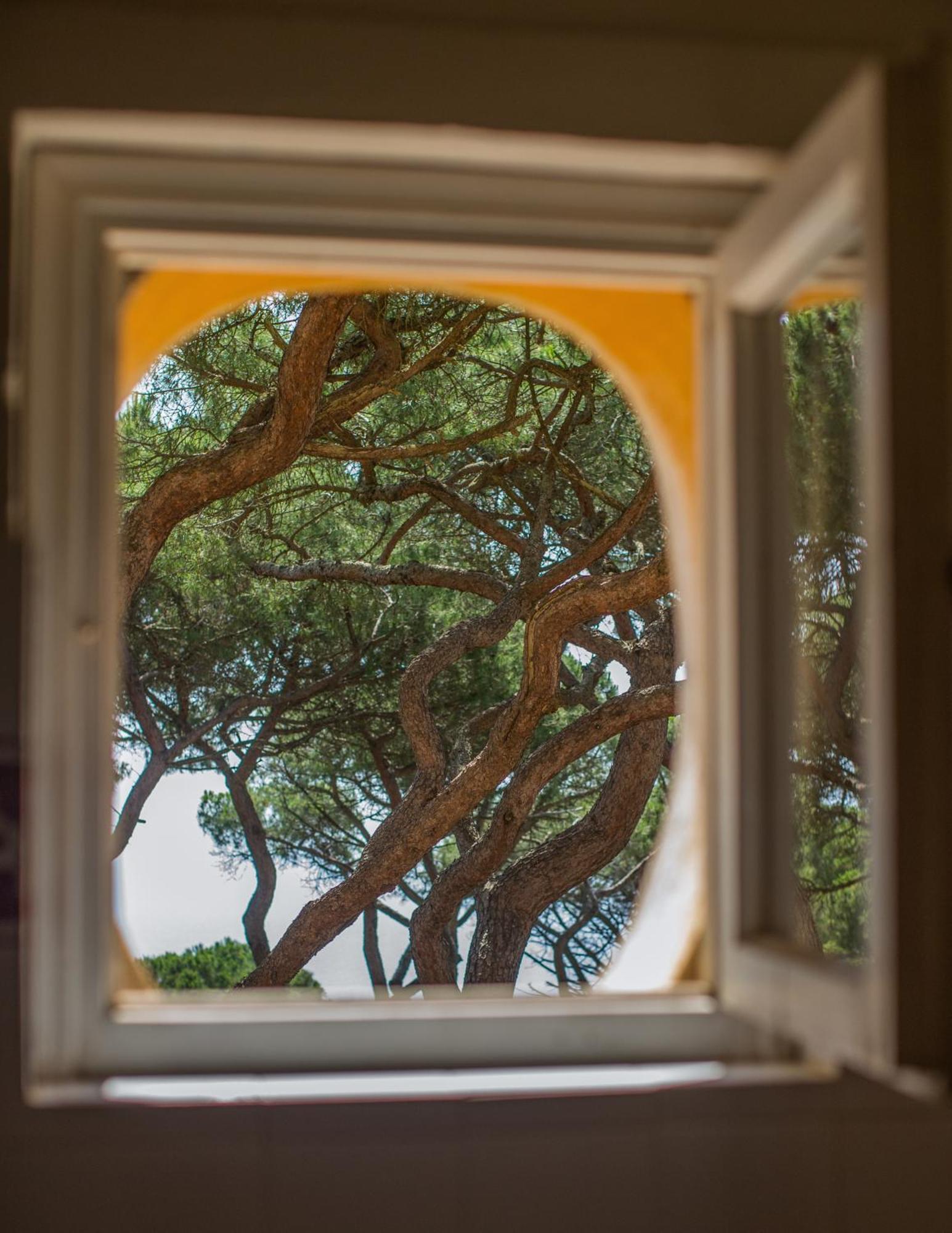 Tenuta Delle Ripalte Capoliveri Kültér fotó